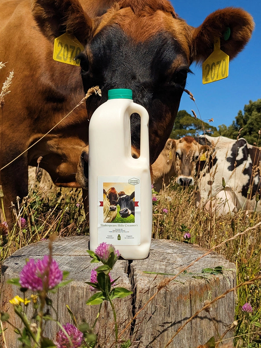 Shakespeare Hills | Organic Whole Full Cream Milk