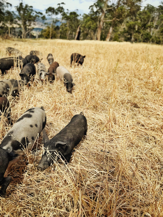 Rystin Hill Farm | Pork Rump Steak